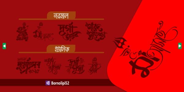 দুর্গোৎসব - Image 2