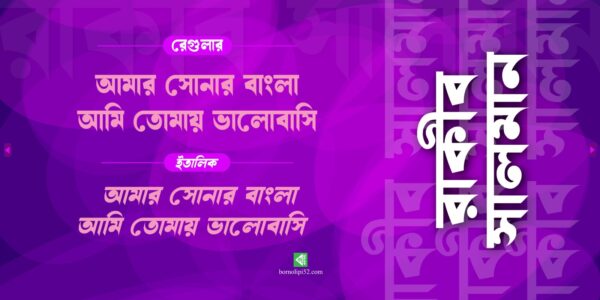 রাকিব সালমান - Image 3